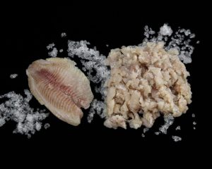 Molida de Tilapia