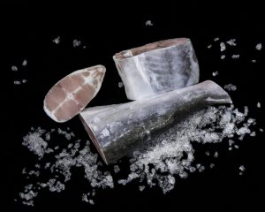 Trozo de Bagre